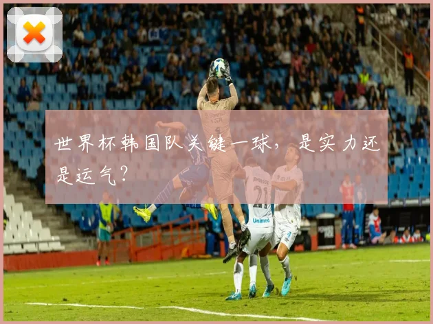 世界杯韩国队关键一球，是实力还是运气？