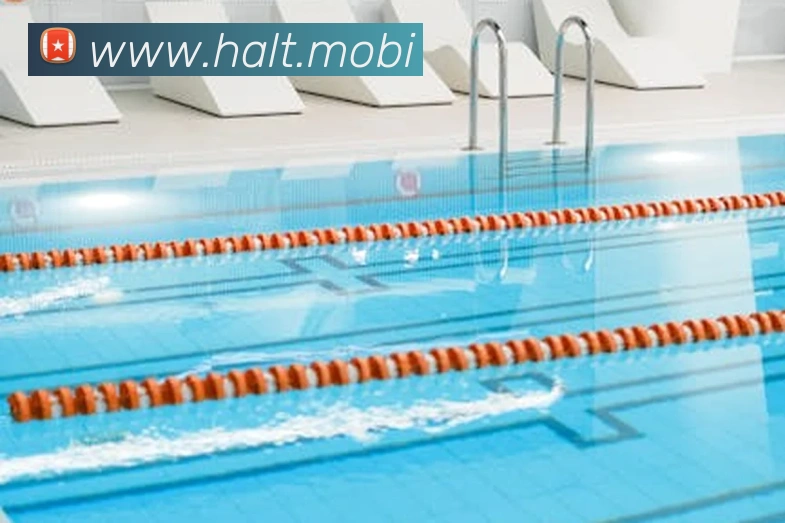 多媒体互动体验